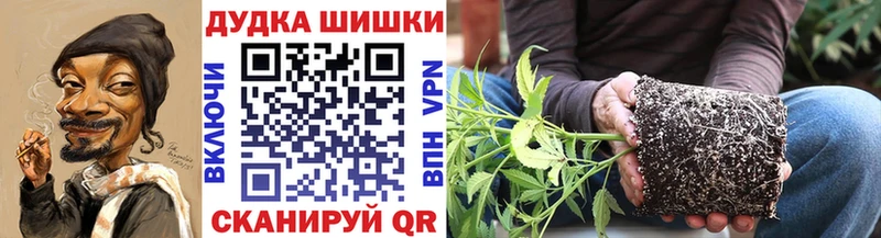 Названия наркотиков Шиханы Амфетамин  ГАШИШ  МЕГА ССЫЛКА  Конопля 