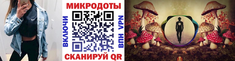 MEGA ТОР  Шиханы  Псилоцибиновые грибы Psilocybe  купить наркотик 